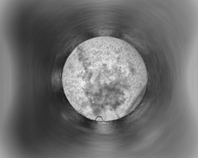 X0000096440240200802141458