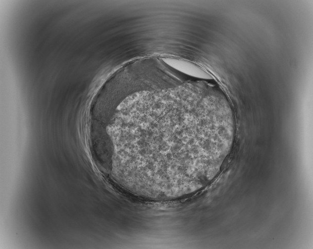 X0000096440241200802141458