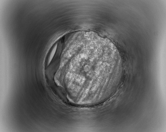 X0000096440242200802141458