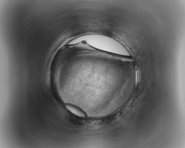 X0000096440243200802141458