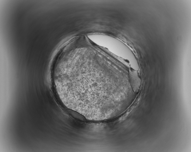 X0000096440245200802141458