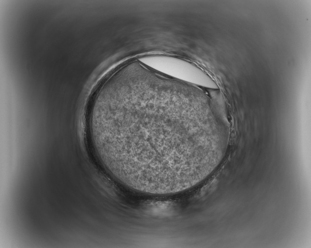 X0000096440247200802141458