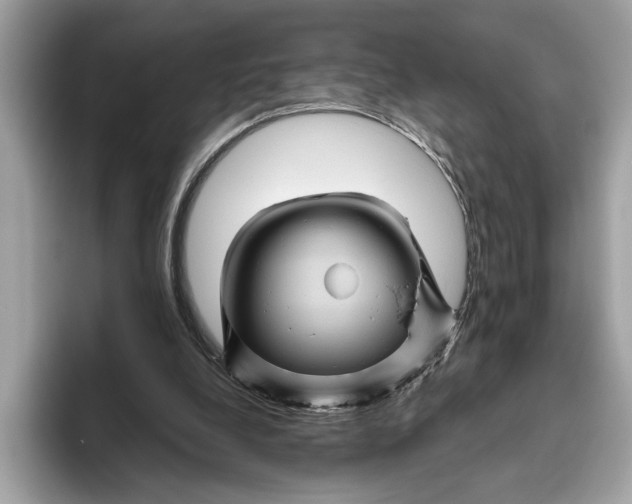 X0000096440248200802141458