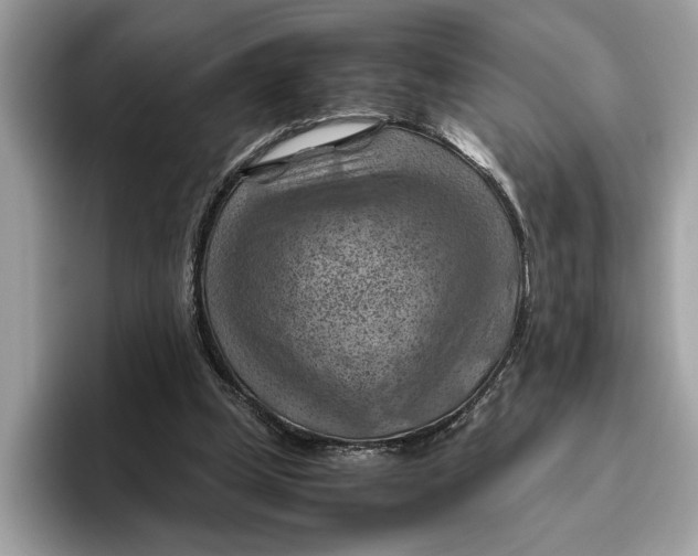 X0000096440249200802141458