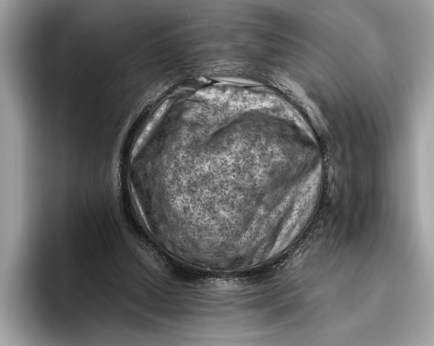 X0000096440250200802141458