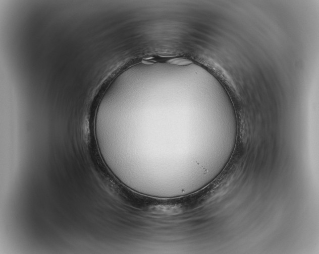 X0000096440251200802141458