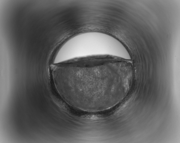 X0000096440254200802141458