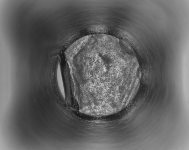 X0000096440259200802141458