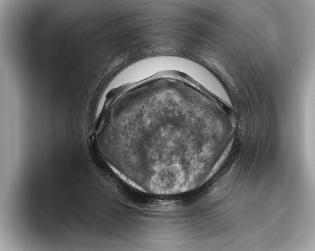 X0000096440260200802141458