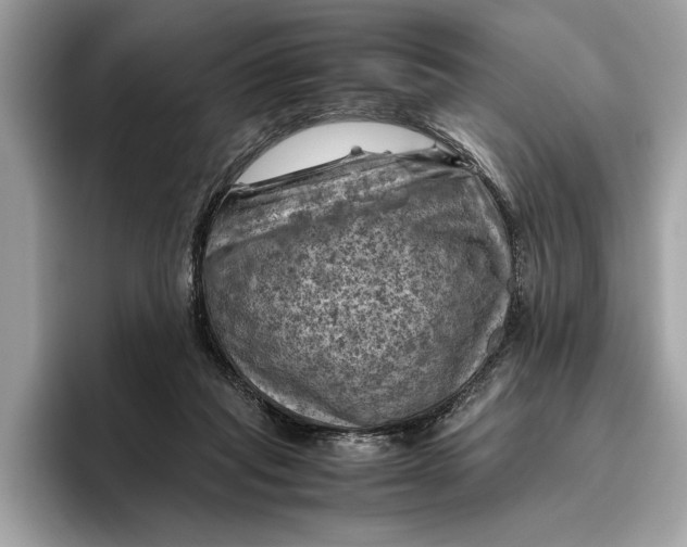 X0000096440261200802141458