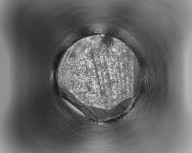 X0000096440262200802141458