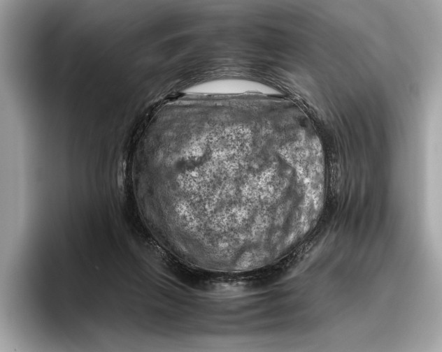 X0000096440263200802141458