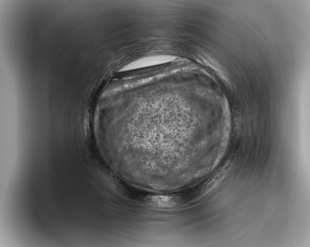 X0000096440265200802141458