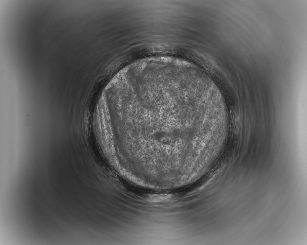 X0000096440266200802141458