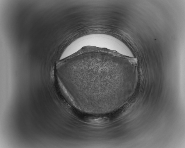 X0000096440267200802141458