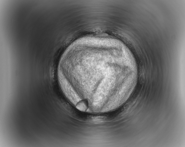 X0000096440268200802141458