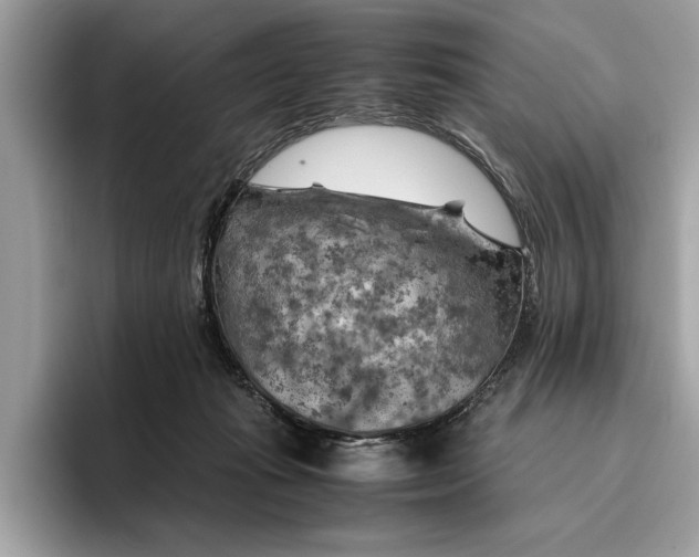 X0000096440269200802141458