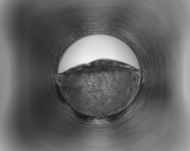 X0000096440270200802141458