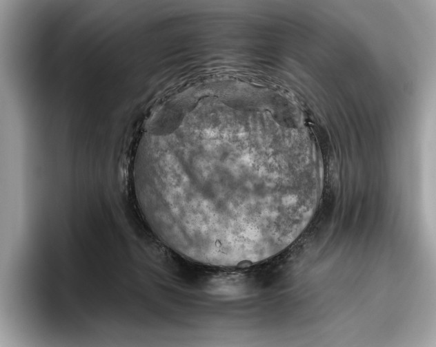 X0000096440271200802141458