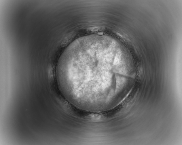 X0000096440272200802141458