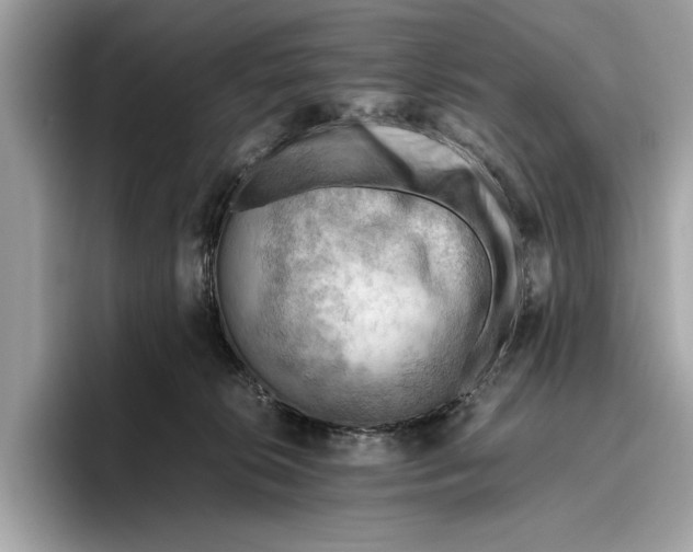 X0000096440276200802141458