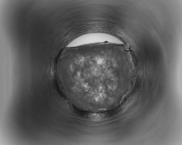 X0000096440277200802141458