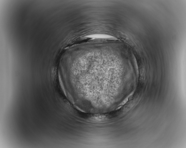 X0000096440278200802141458