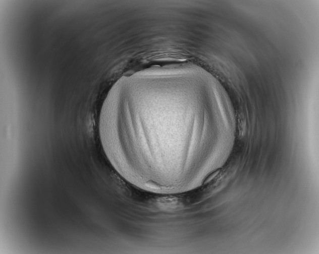 X0000096440279200802141458