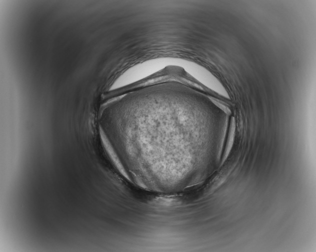 X0000096440280200802141458