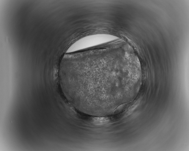 X0000096440281200802141458