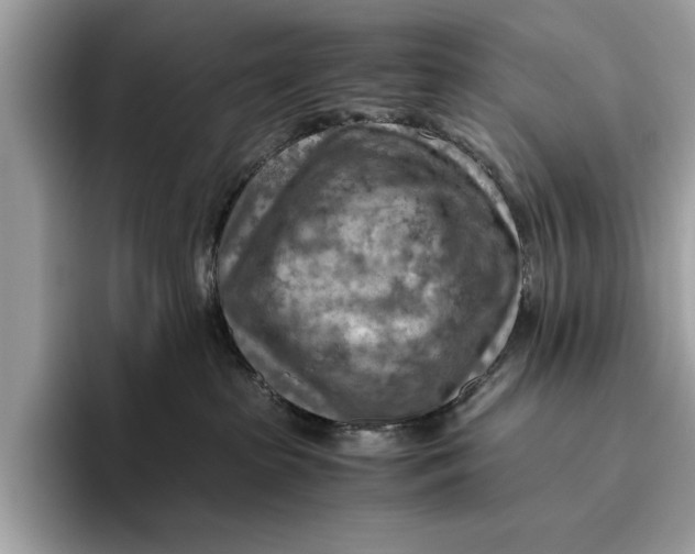 X0000096440285200802141458