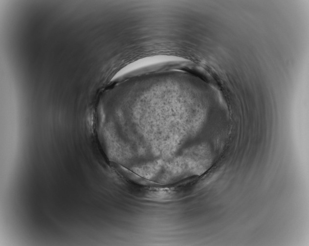 X0000096440288200802141458