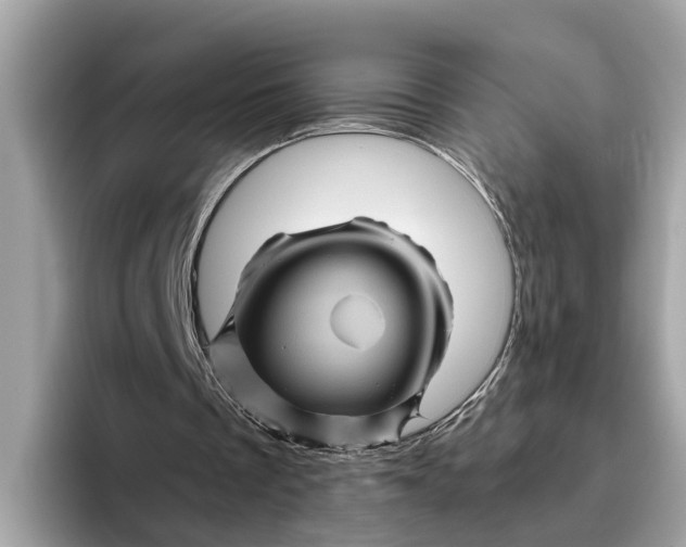 X0000096440289200802141458