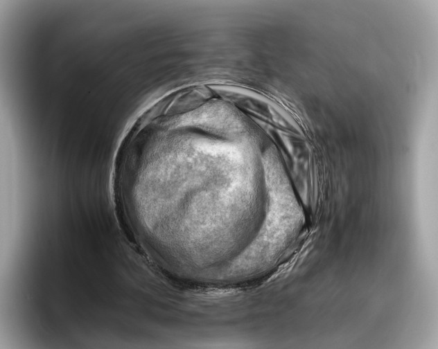 X0000096440292200802141458