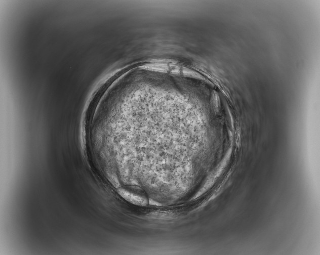 X0000096440294200802141457