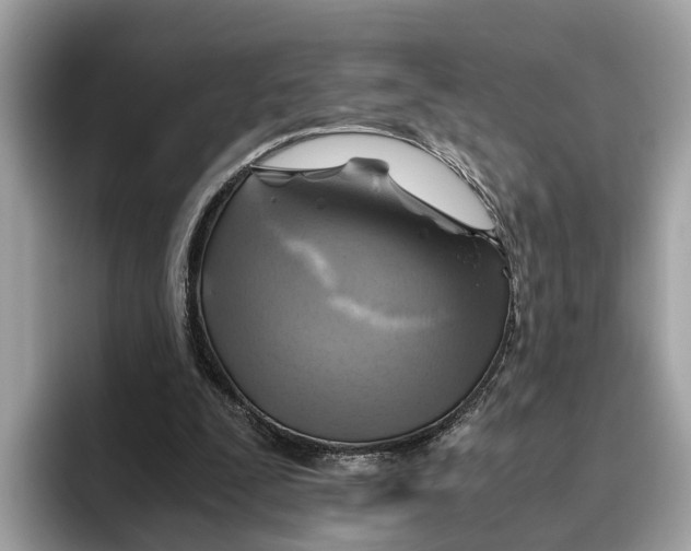 X0000096440295200802141457