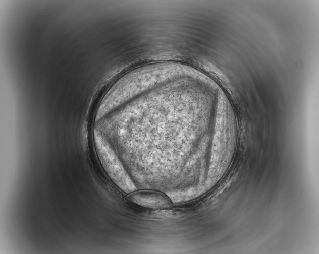 X0000096440298200802141457