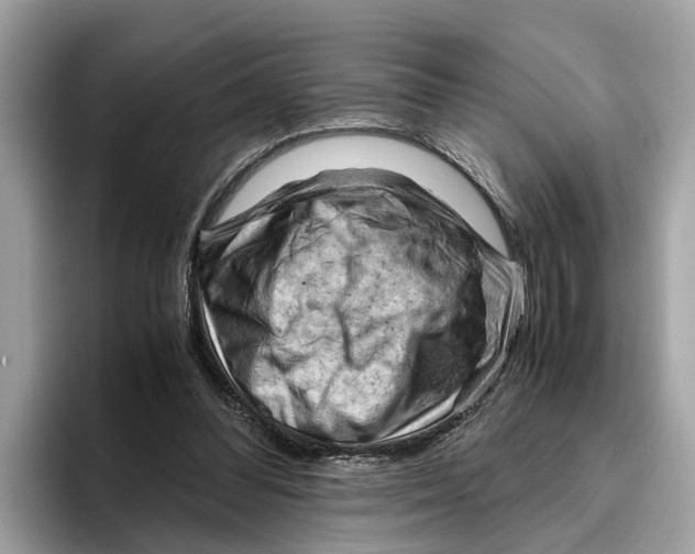 X0000096440300200802141457