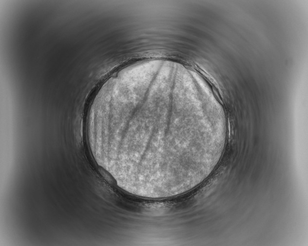 X0000096440301200802141457