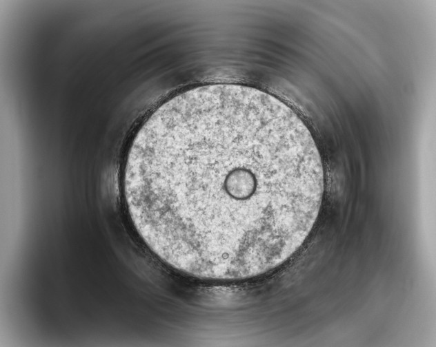 X0000096440302200802141457