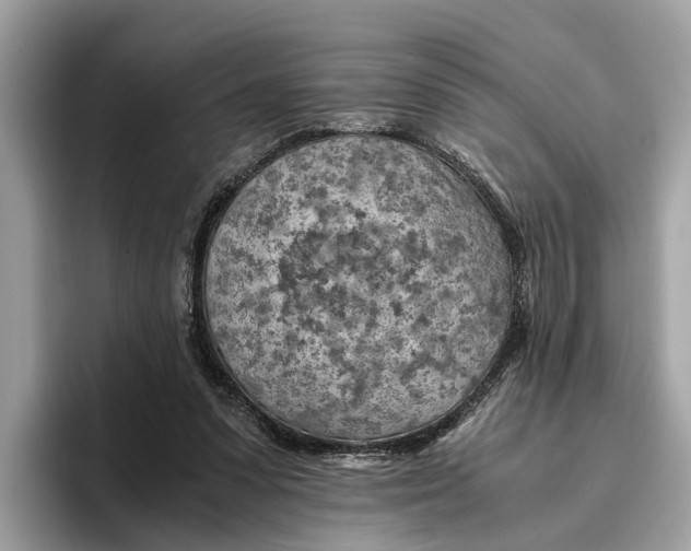 X0000096440303200802141457