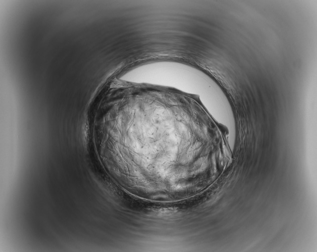 X0000096440304200802141457