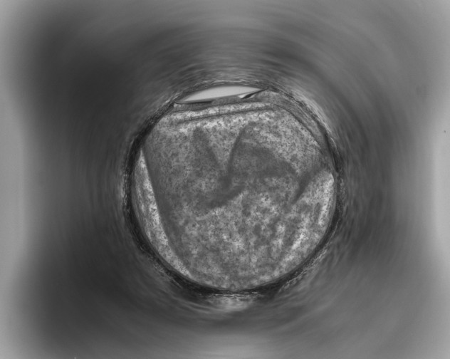 X0000096440305200802141457