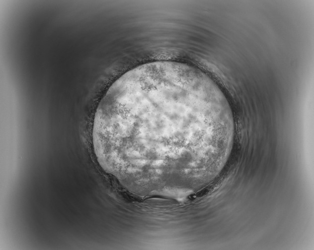 X0000096440307200802141457