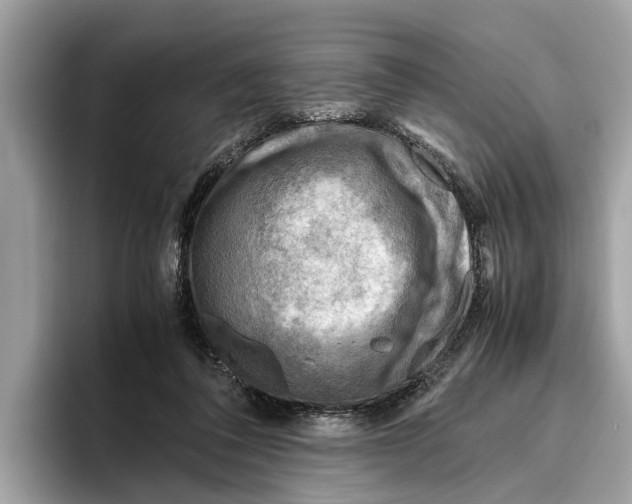 X0000096440308200802141457