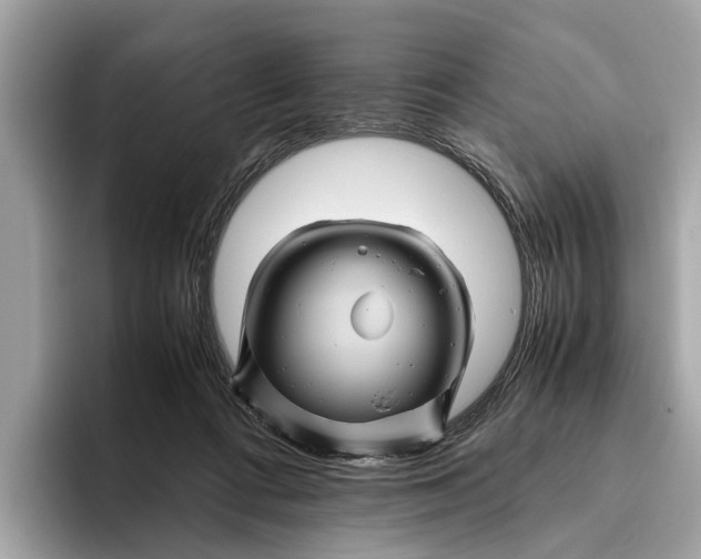 X0000096440312200802141457