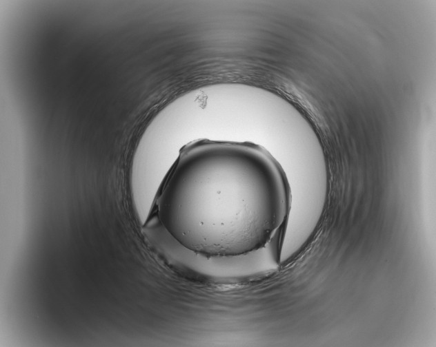 X0000096440313200802141457