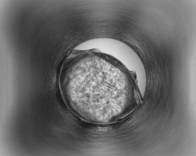 X0000096440314200802141457