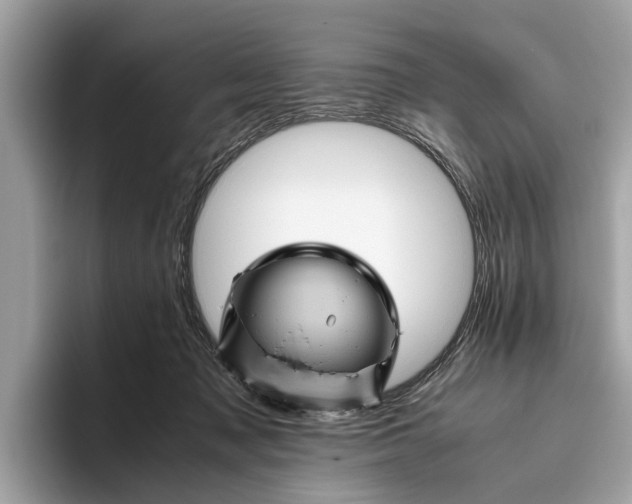 X0000096440317200802141457