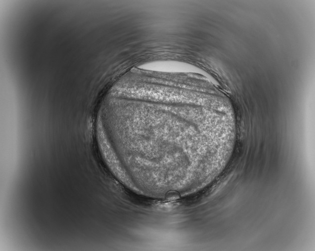 X0000096440321200802141457